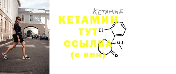 PSILOCYBIN Белокуриха